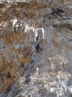 SNV80440.JPG